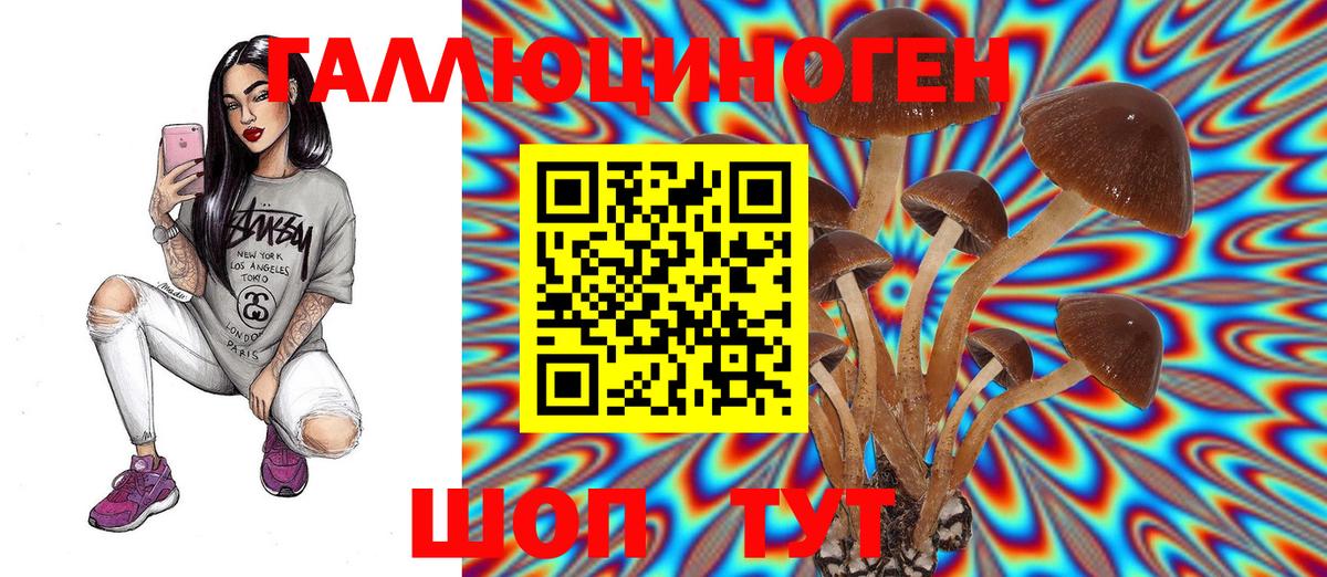 Псилоцибиновые грибы Psilocybine cubensis Черняховск