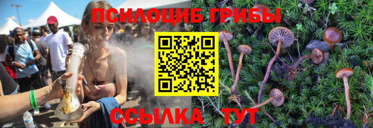 Черняховск  Галлюциногенные грибы Psilocybe  Вход с VPN  Галлюциногенные грибы ЛСД 